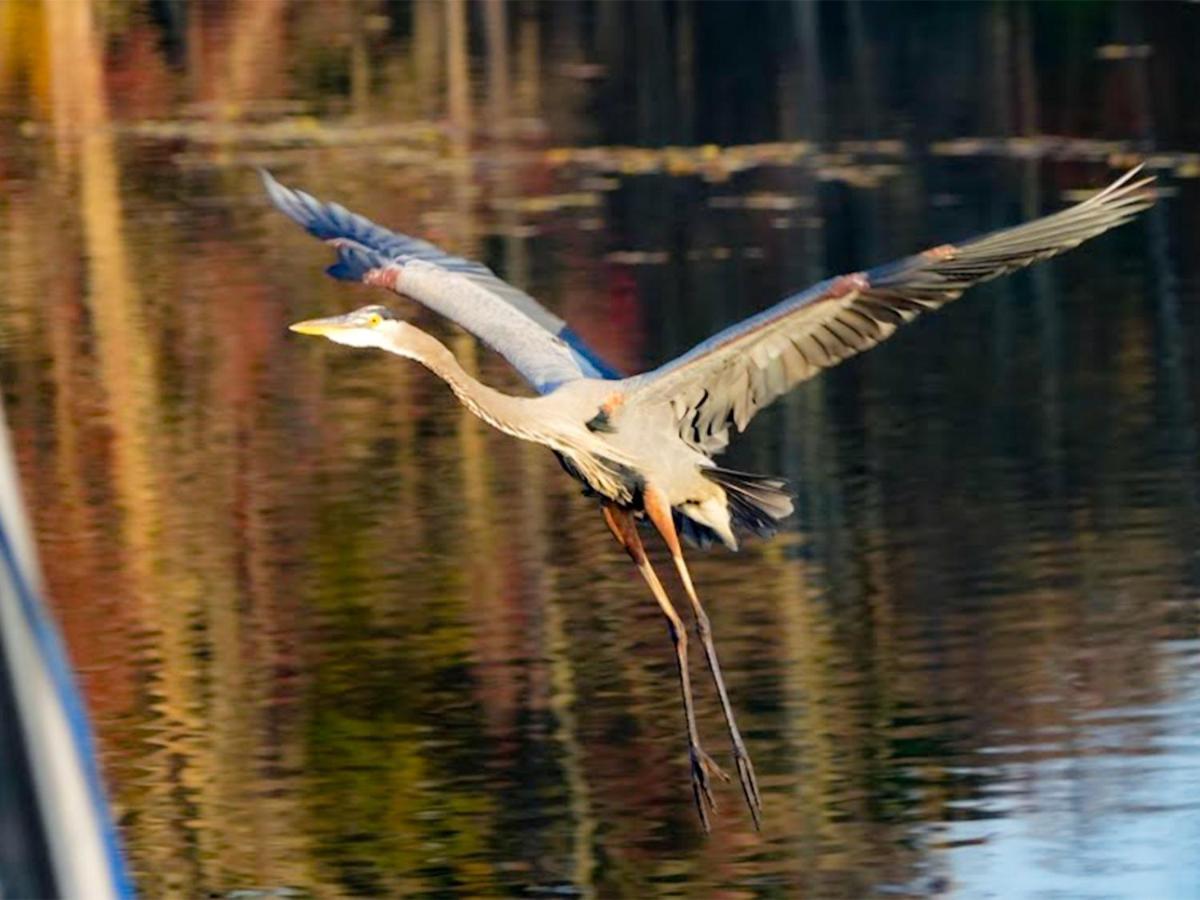 Bells Marina & Fishing Resort - Santee Lake Marion By I95 - Family Adventure, Pets On Request! Eutawville Exterior photo